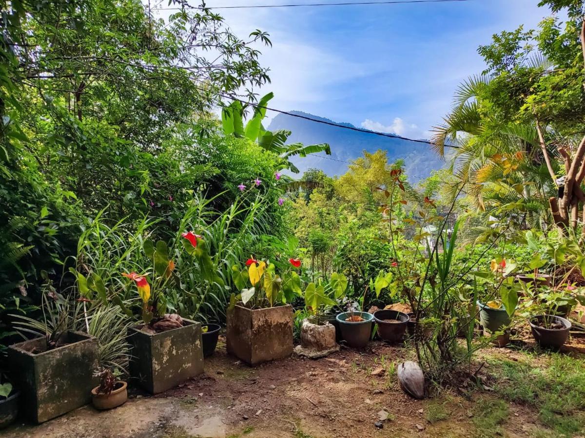 מלון Eden View Ella - Tour Options In The Area מראה חיצוני תמונה